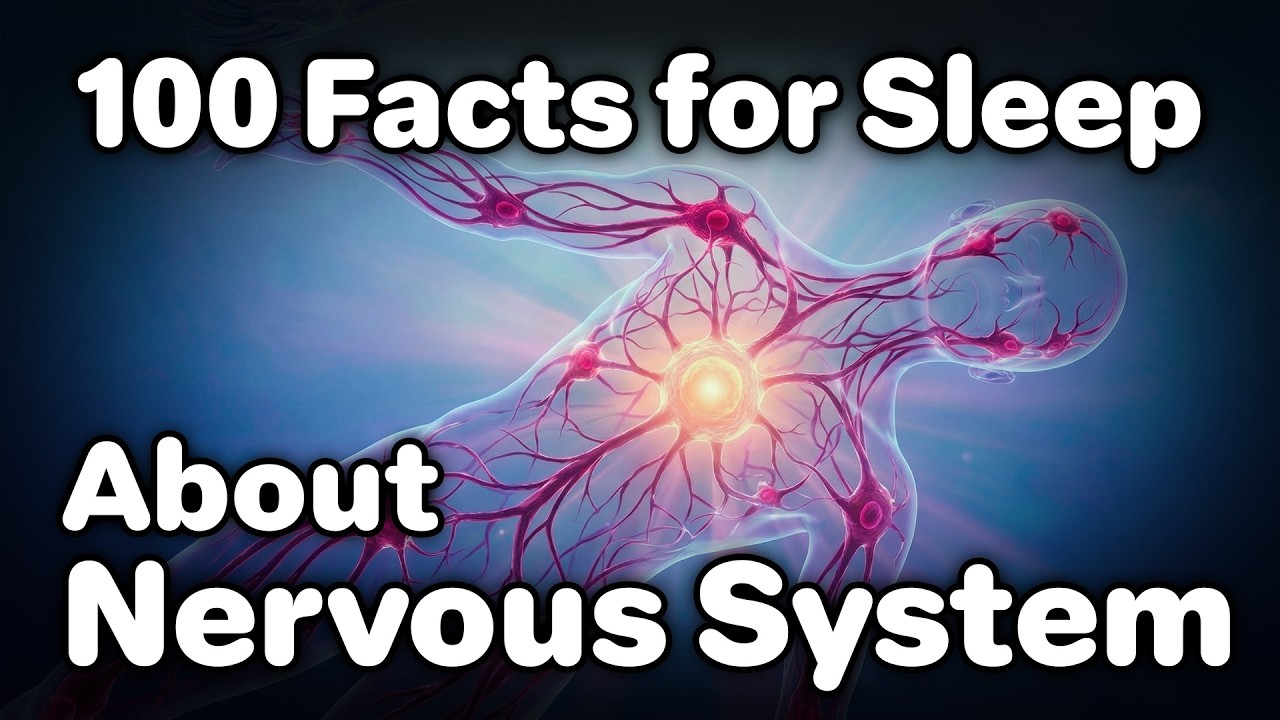 The Most Relaxing Facts About Our Nervous System to Fall Asleep To