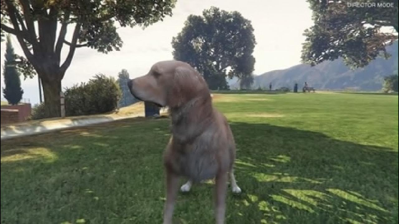 GTA Dog Life RP Part 1