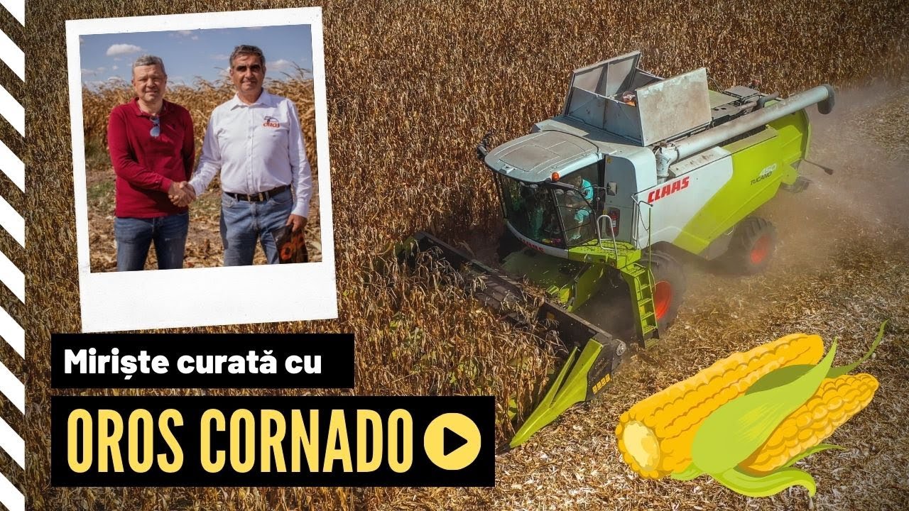 Demo heder porumb OROS Cornado în ferma Fruitville Group SRL  - Elimina trecerea cu tocator!