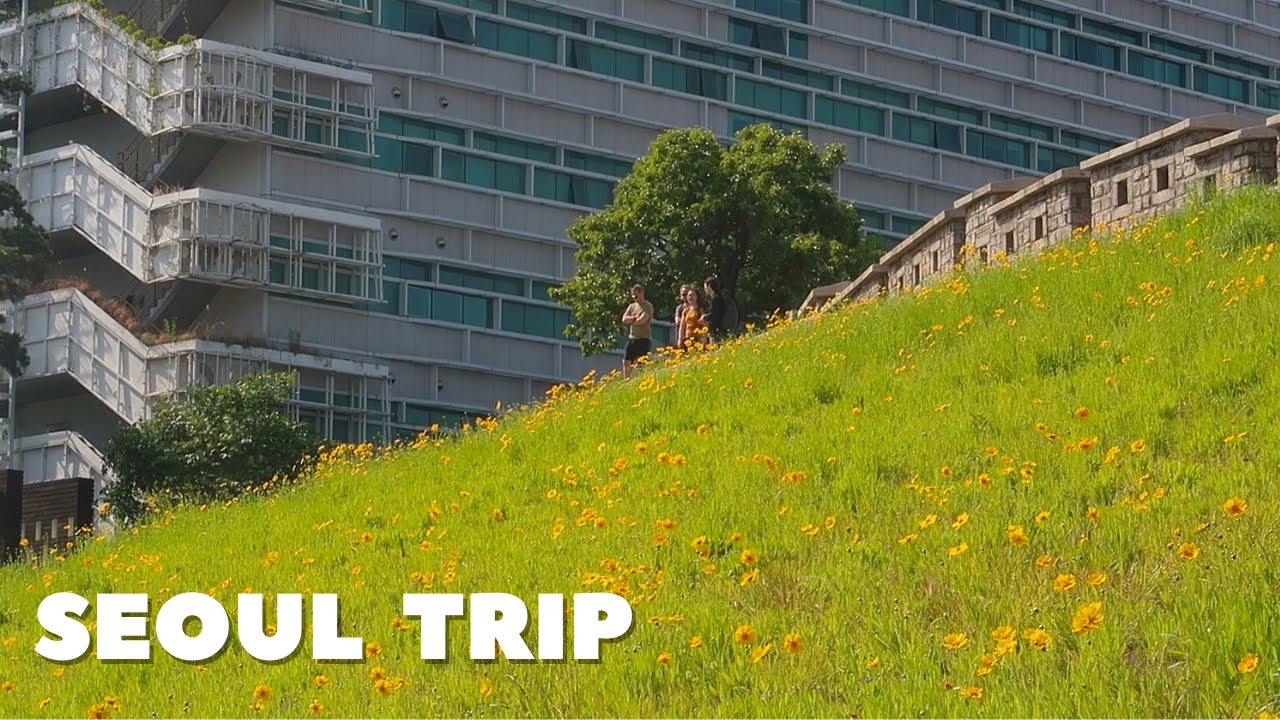 travelling to seoul for the first time