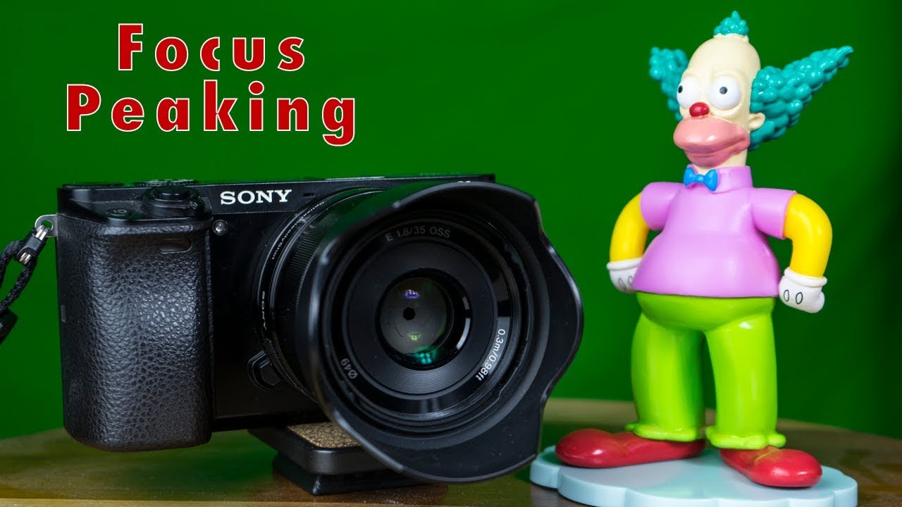 Cómo Enfocar con objetivos manuales en Sony a6000