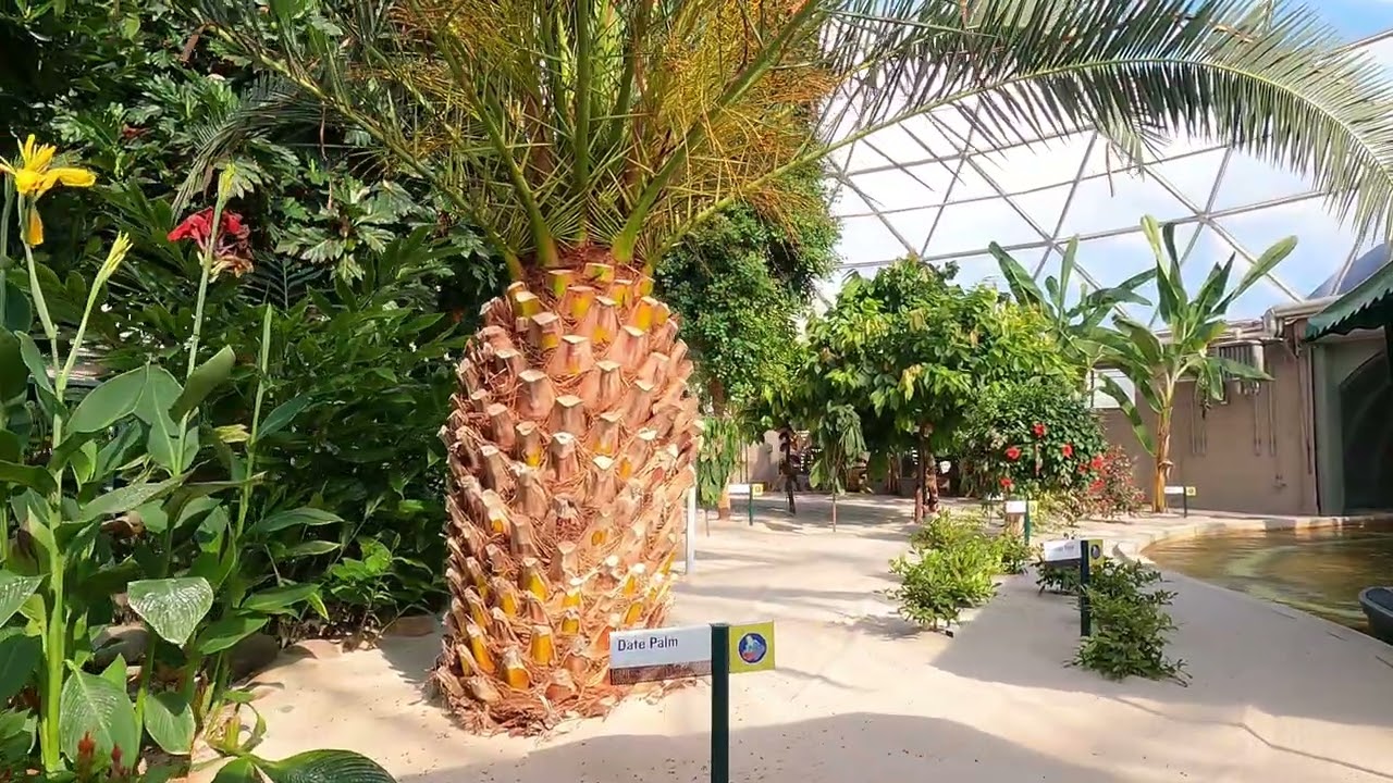 Disney EPCOT, Orlando USA - Living With The Land