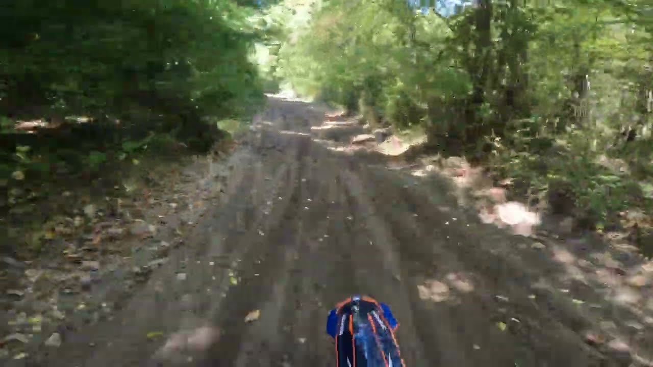 Maumee Forest APV East and West Trails