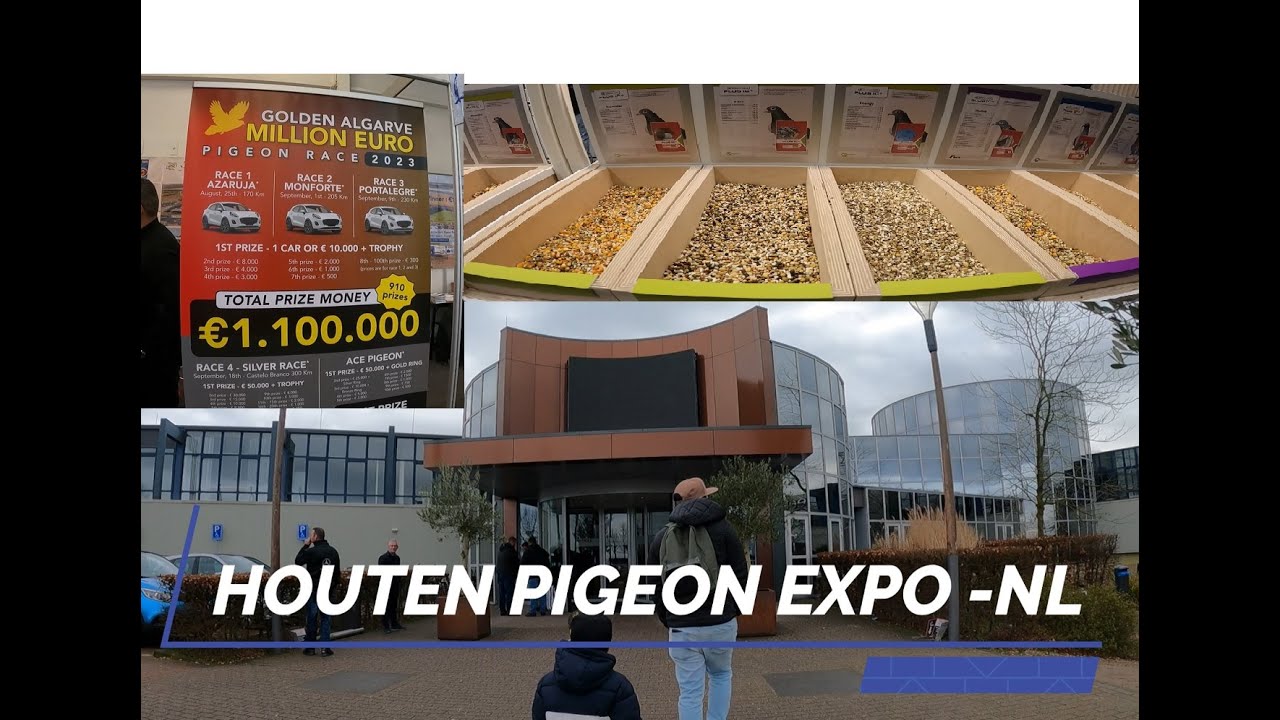 1.1 MILLION EURO OLR PRIZE?! (Houten Expo 2023 - Netherlands) Part 1