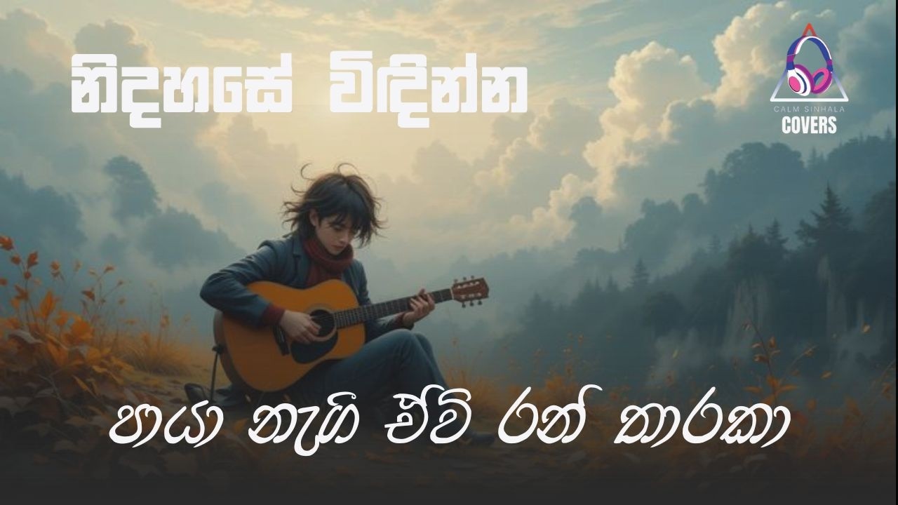 පායා නැගී ඒවි රන් තාරකා | Paya Nagee Ewi Ran Tharaka | @CalmSinhalaCovers