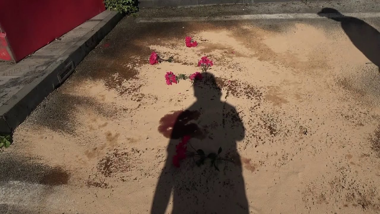 Fiori sull'asfalto macchiato di sangue al passo di Mirabella dopo la sciagura