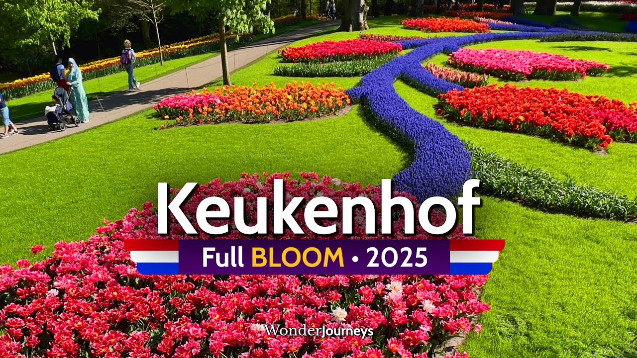 Кёкенхоф в полном цвету 🌷🇳🇱 2025 [4K]