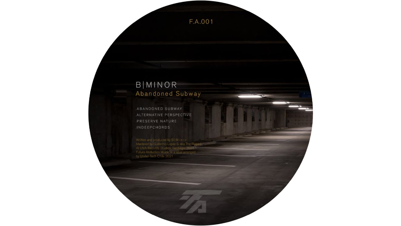 BMinor - Alternative Perspective (Original mix)