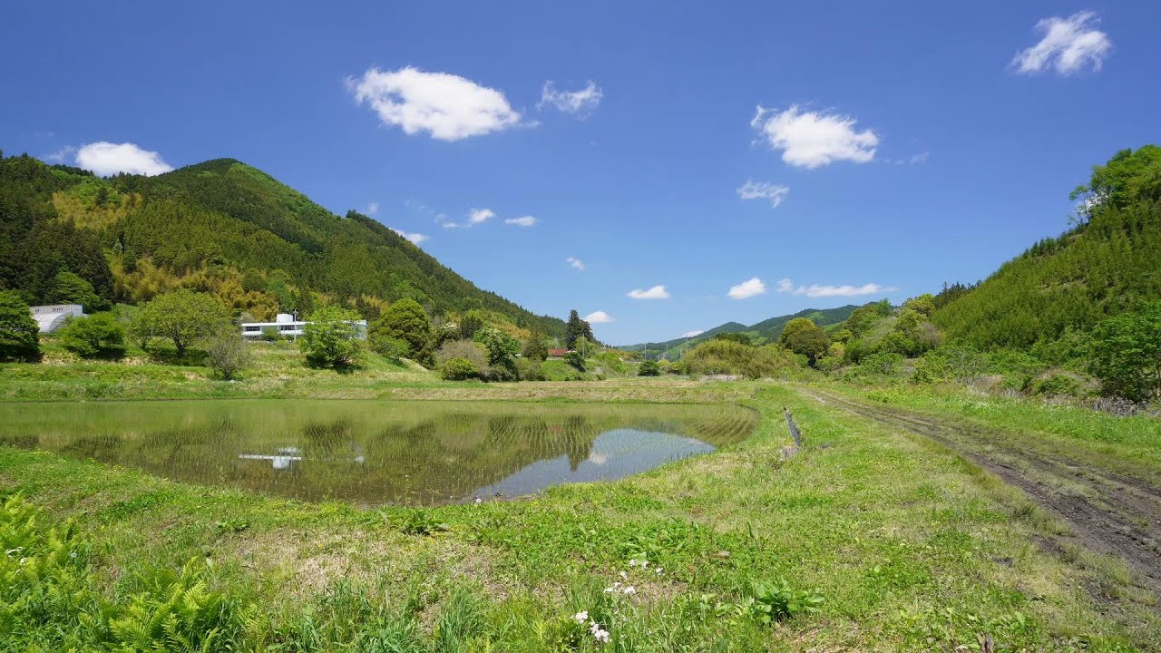 もう一つの那須　田舎の初夏風景