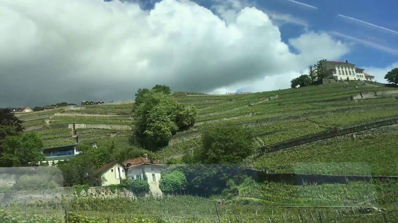Land of Chasselas, Lavaux from a Swiss train