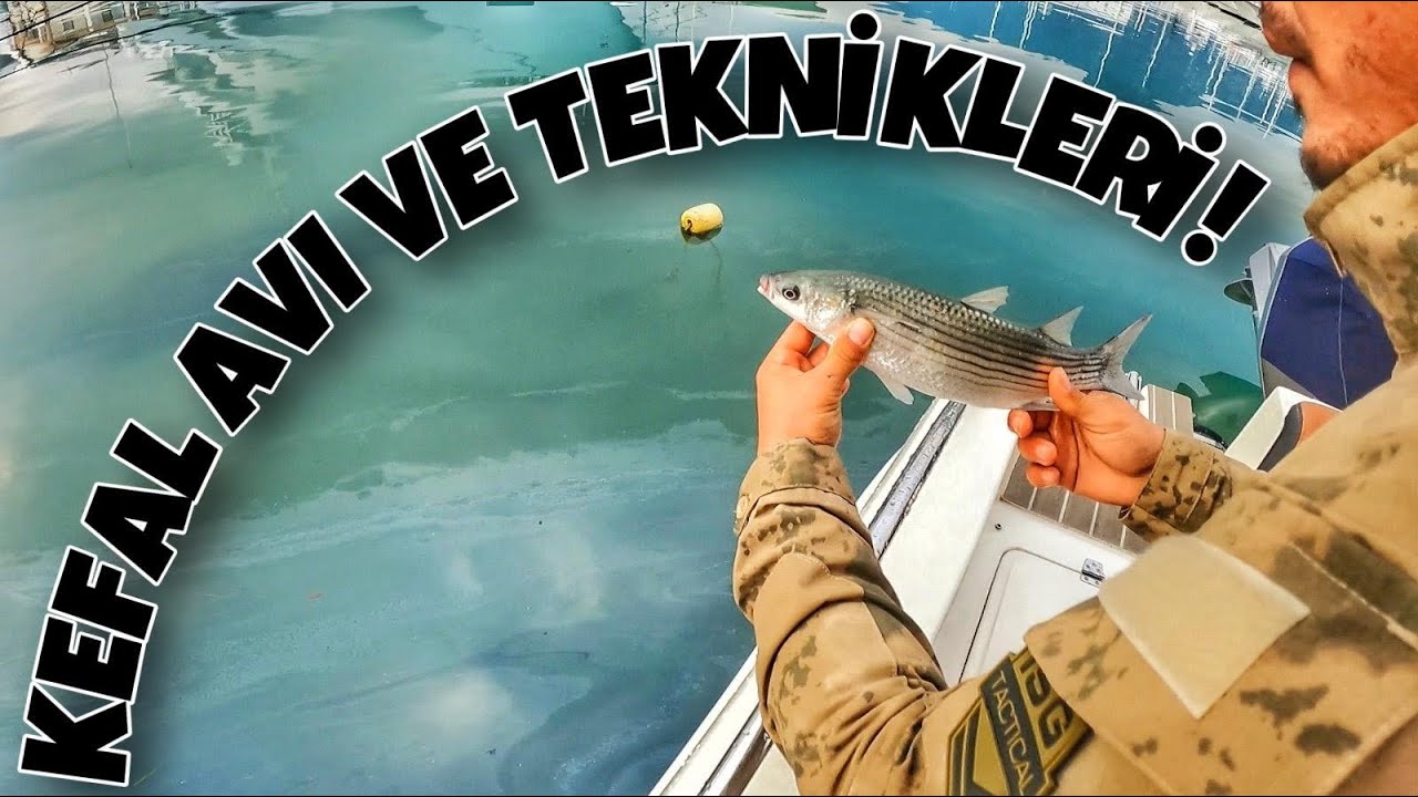Kefal Avı! ''Mugil Cephalus'' Antalya