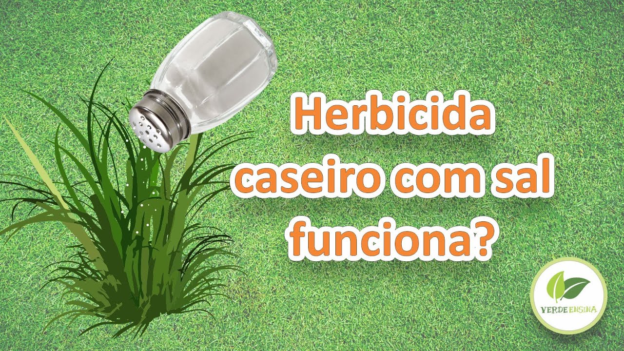Herbicida caseiro com sal funciona?