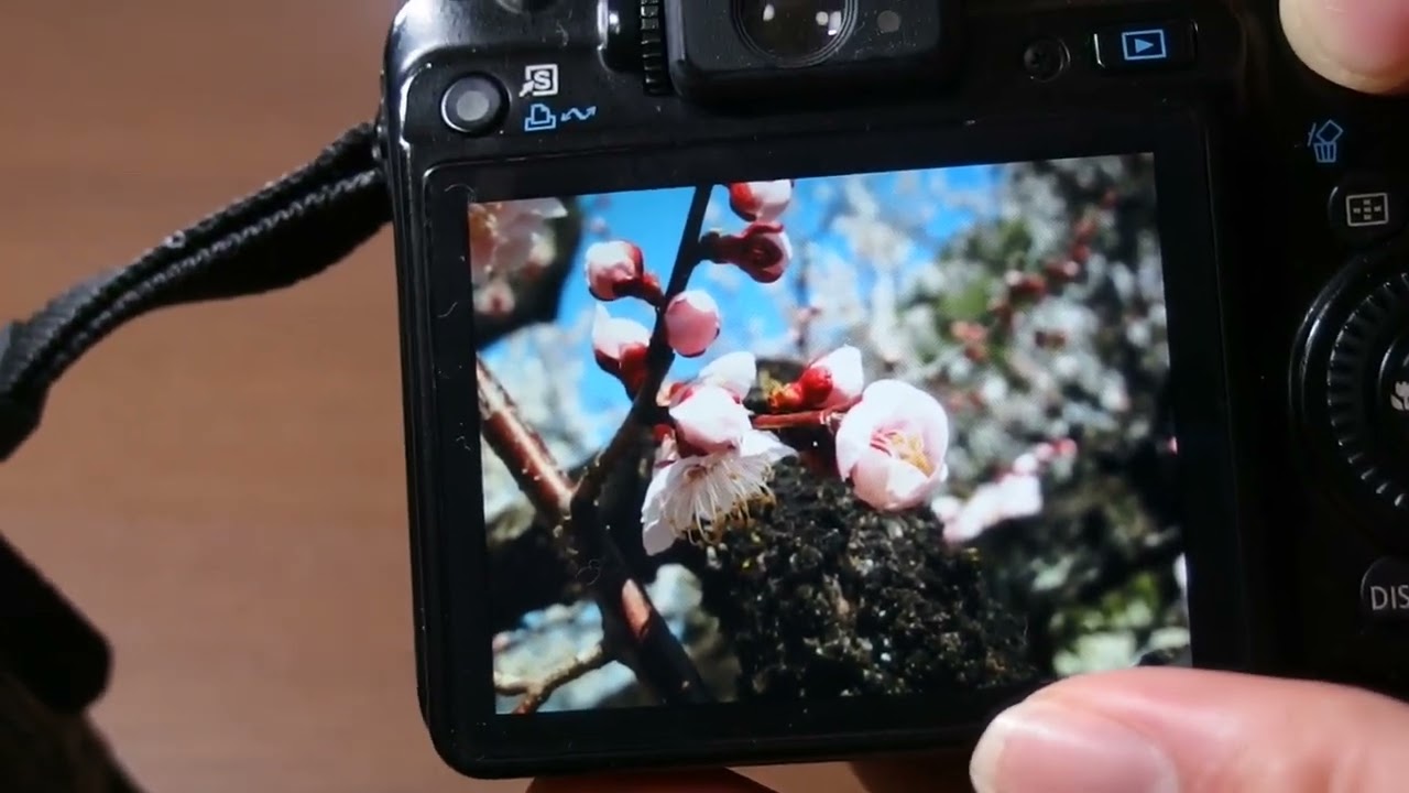 『ハードオフ中古』まだまだ現役！１万円で買ったCanon PowerShot G10の話（作例あり）