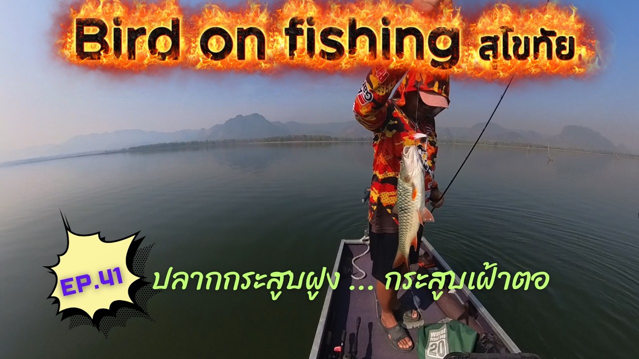 EP.41 ตกปลากระสูบฝูง...ปลากระสูบเฝ้าตอมันส์ๆ #ตกปลาชะโด #ตกปลากระสูบ #fishing #xbait #เต็มคำ