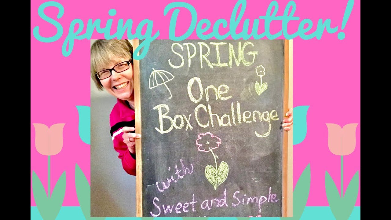Spring Cleaning One Box Challenge 2020! Declutter Inspiration!