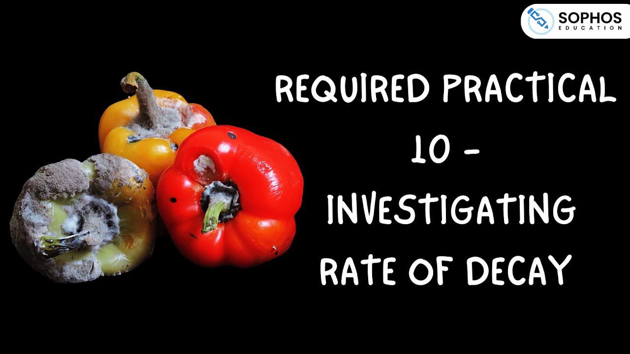 Required Practical 10: Investigating Rate of Decay