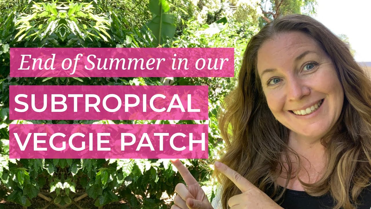 Subtropical End of Summer Veggie Garden Tour - It's a bit of a mess