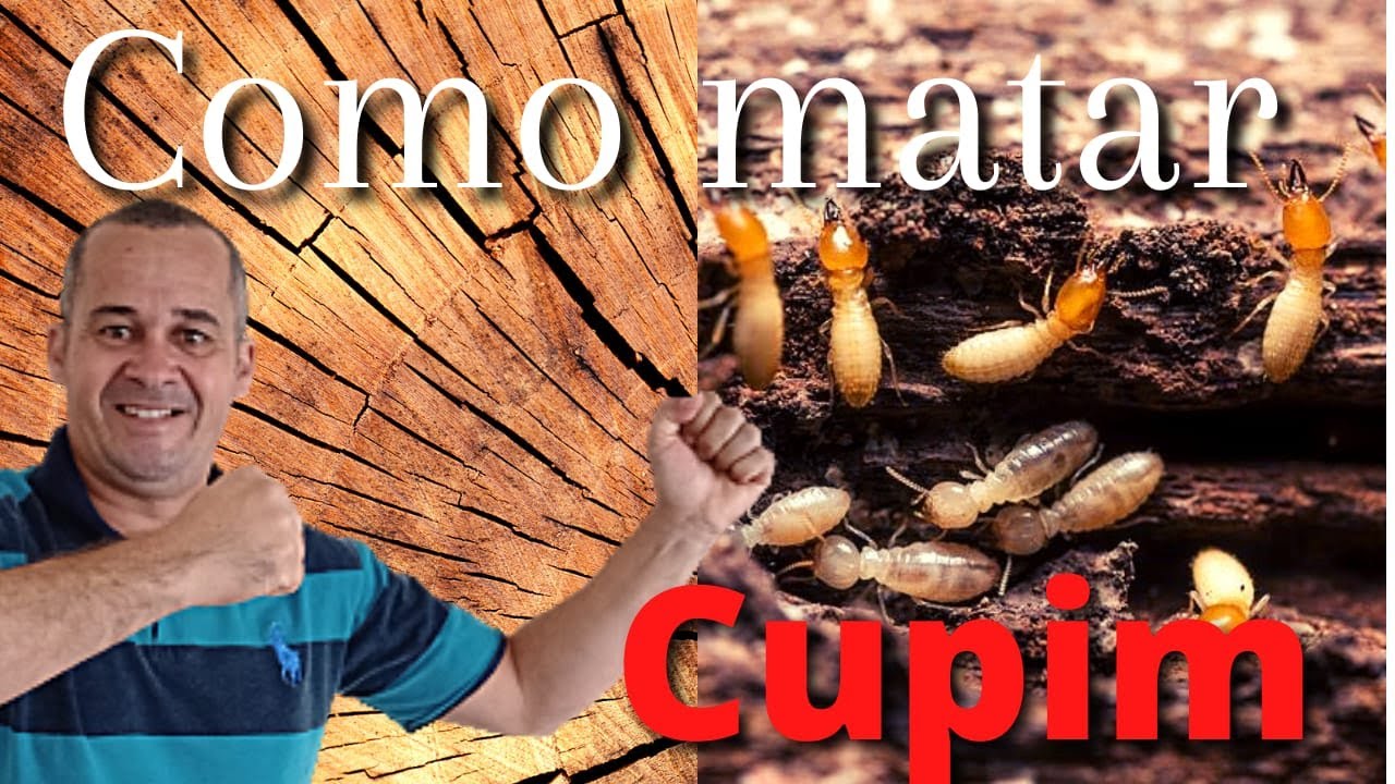 como matar cupim em menos de 1 minuto