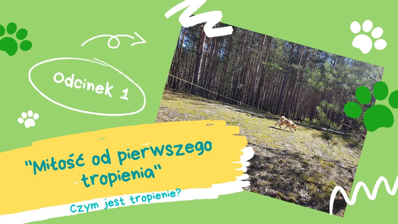 Miłość od pierwszego tropienia, odcinek 1: Czym jest tropienie?
