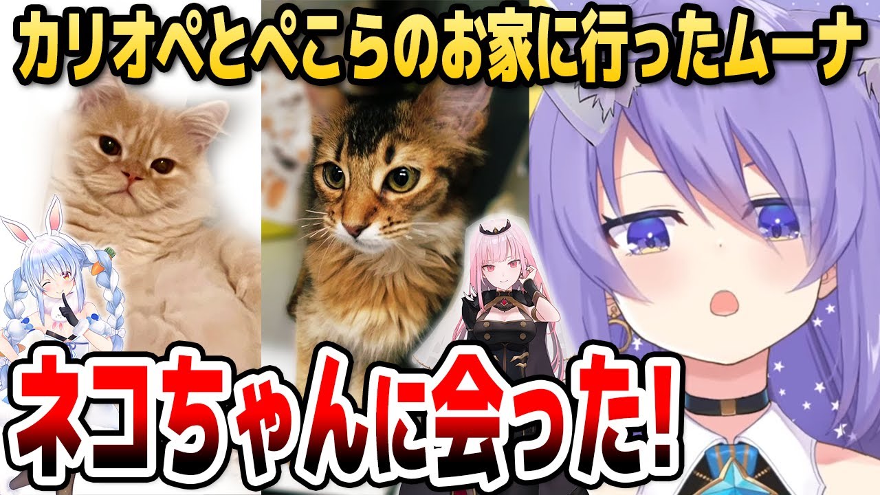 ムーナが語る、ぺこらとカリオペの家のネコの性格の違い【ホロライブID切り抜き/ムーナ・ホシノヴァ/兎田ぺこら/森カリオペ/日本語翻訳】
