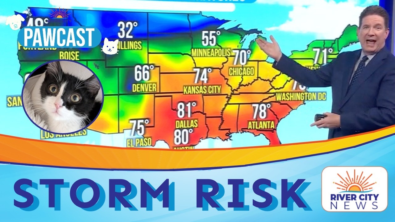 San Antonio Area Weather: Storm Risk Tonight, Near 80 | PAWCAST