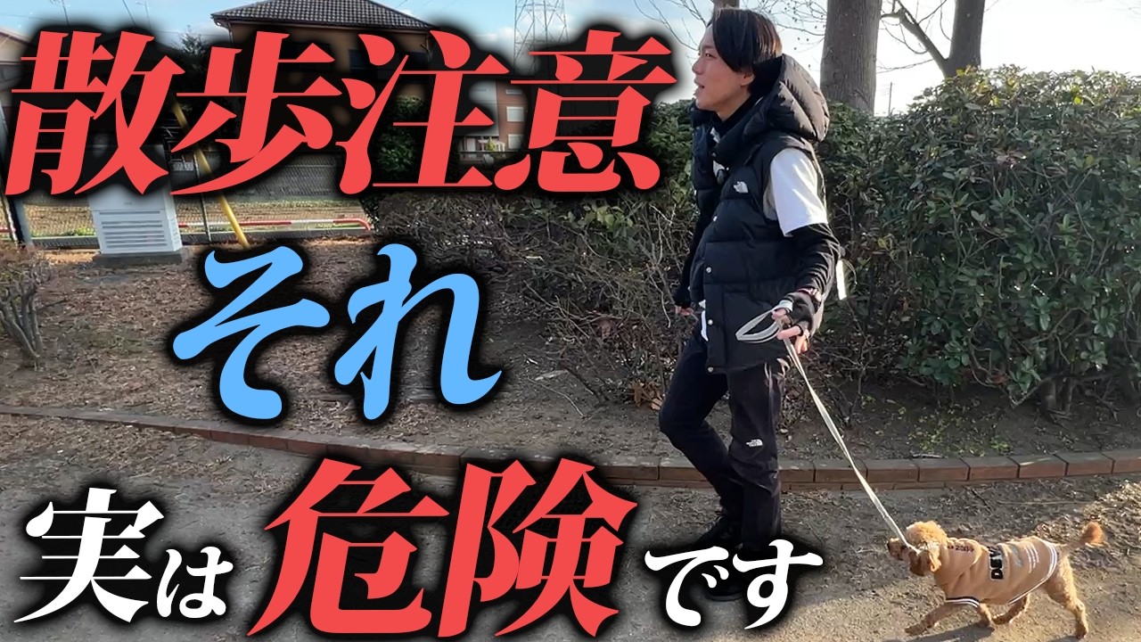 【警告】犬の散歩の落とし穴5選|散歩で