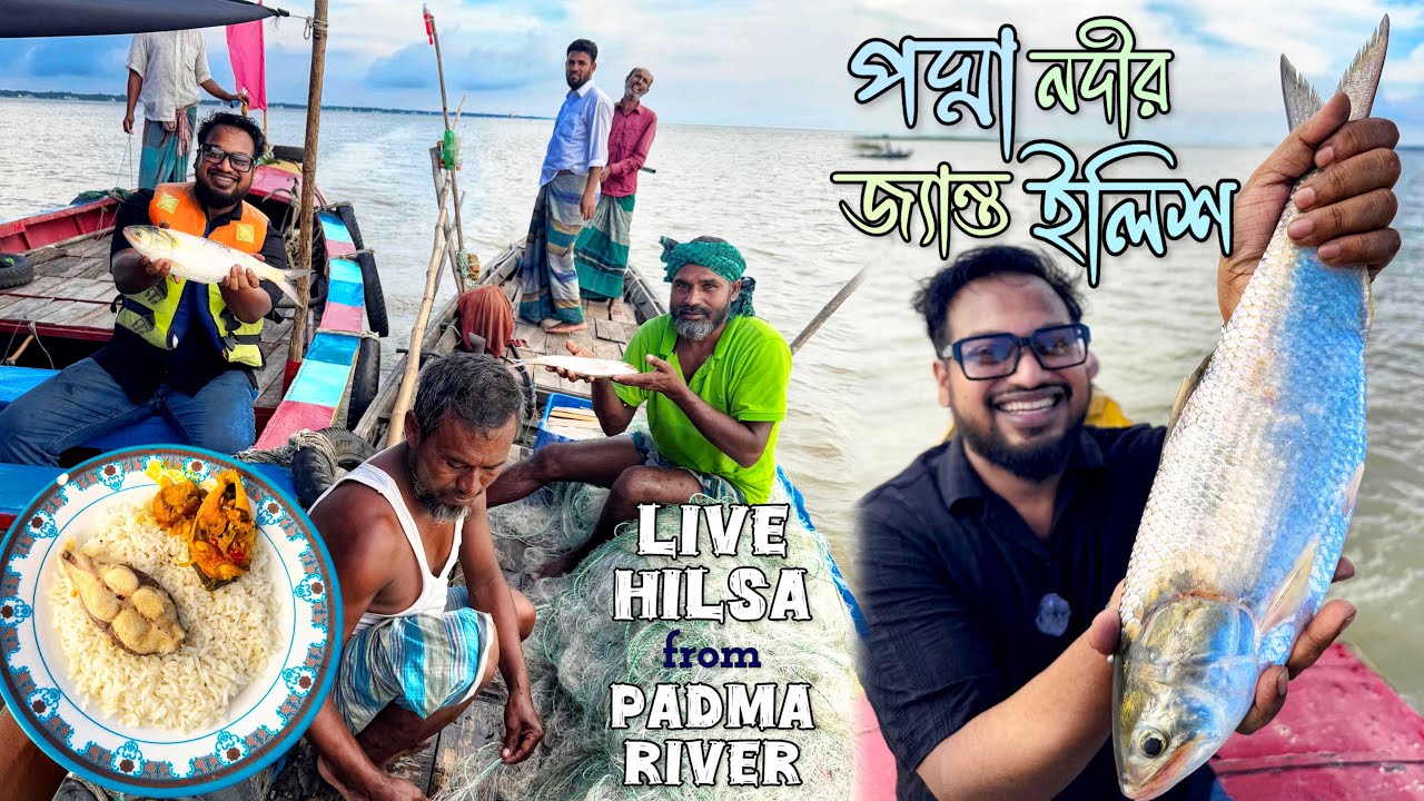 জীবিত ইলিশ হাতে নিলাম এবং পদ্মার মাঝখানে নৌকাতেই সেই ইলিশ রান্না করে খেলাম 🤩 দূর্লভ অভিজ্ঞতা! 