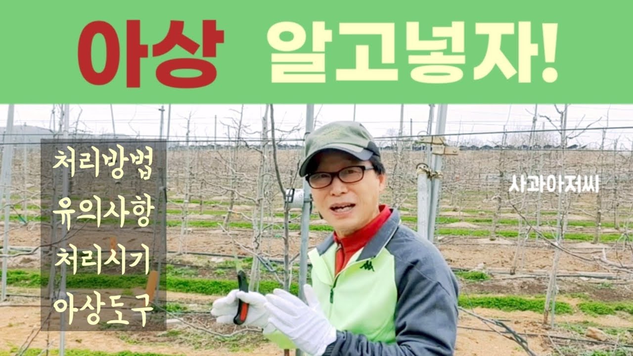 아상 처리 방법 및 유의사항ㅣ아상의 원리 및 처리시기, 아상도구