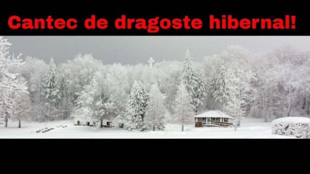 Ovidiu Mihăilescu - Ninge Iar