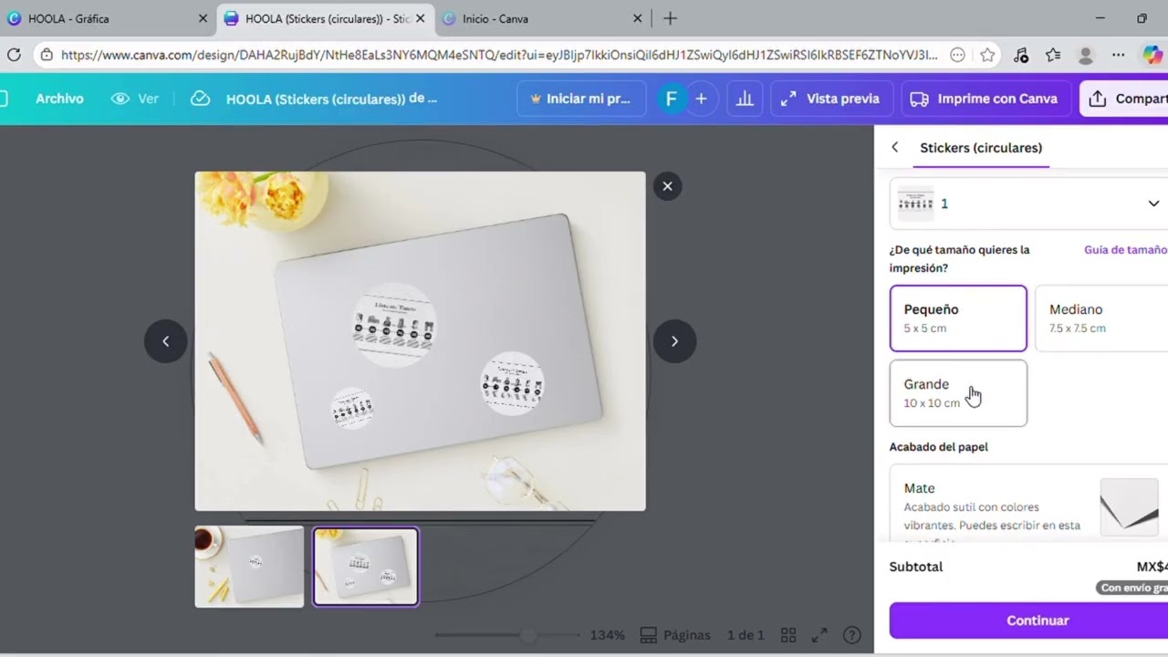 CAPÍTULO 3 Canva 