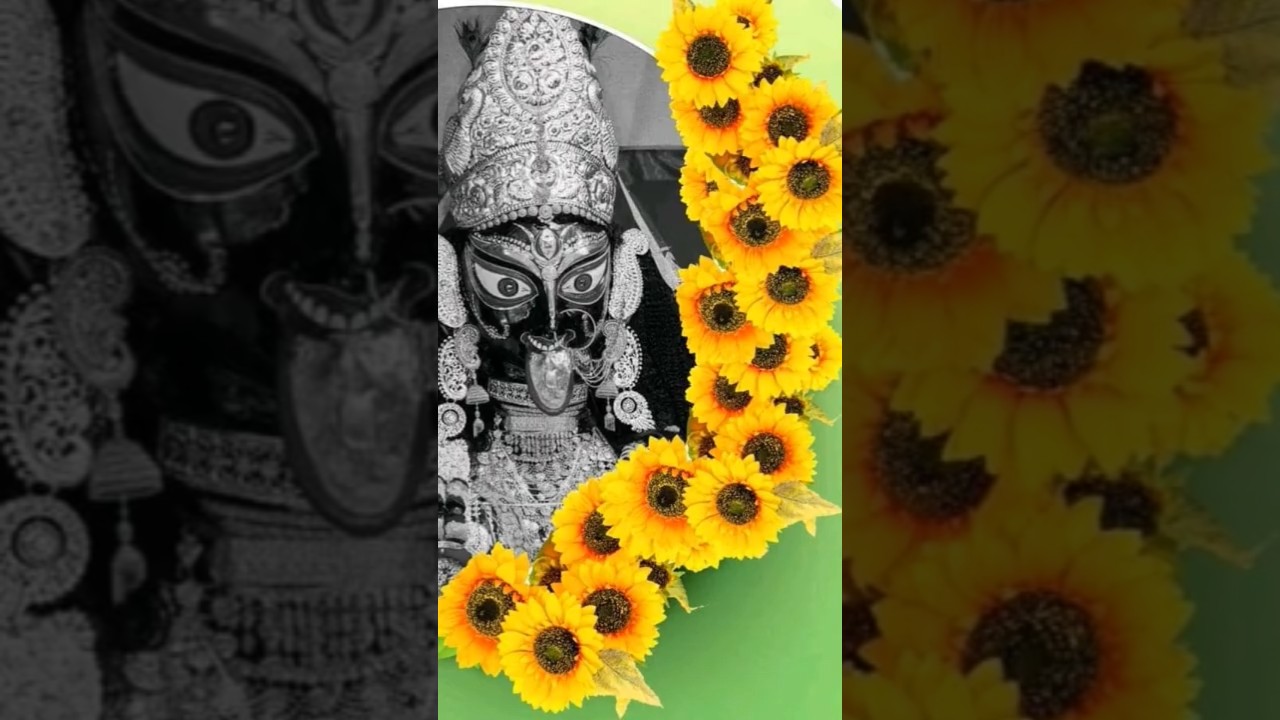 #boromaanaihati#boromapuja#shyamasangeet#shyamasundari#naihatirboroma#voktigeeti#newbanglasong2025