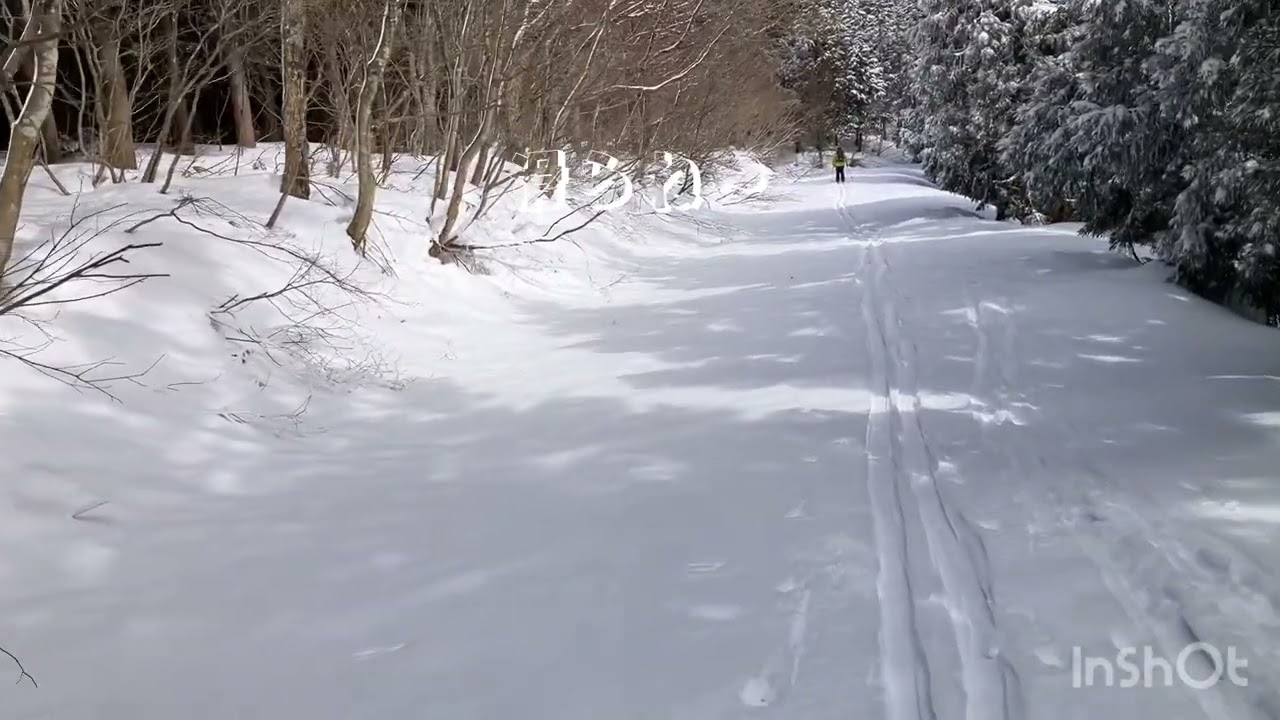 ジュッカの山でスキー散歩 #テレマークスキー #telemark #BC #ステップソール