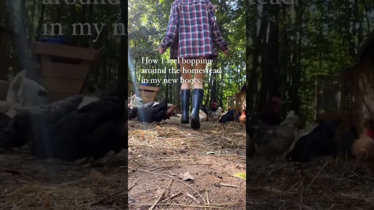 How I feel bopping around homestead in my new boots #farming #homesteading