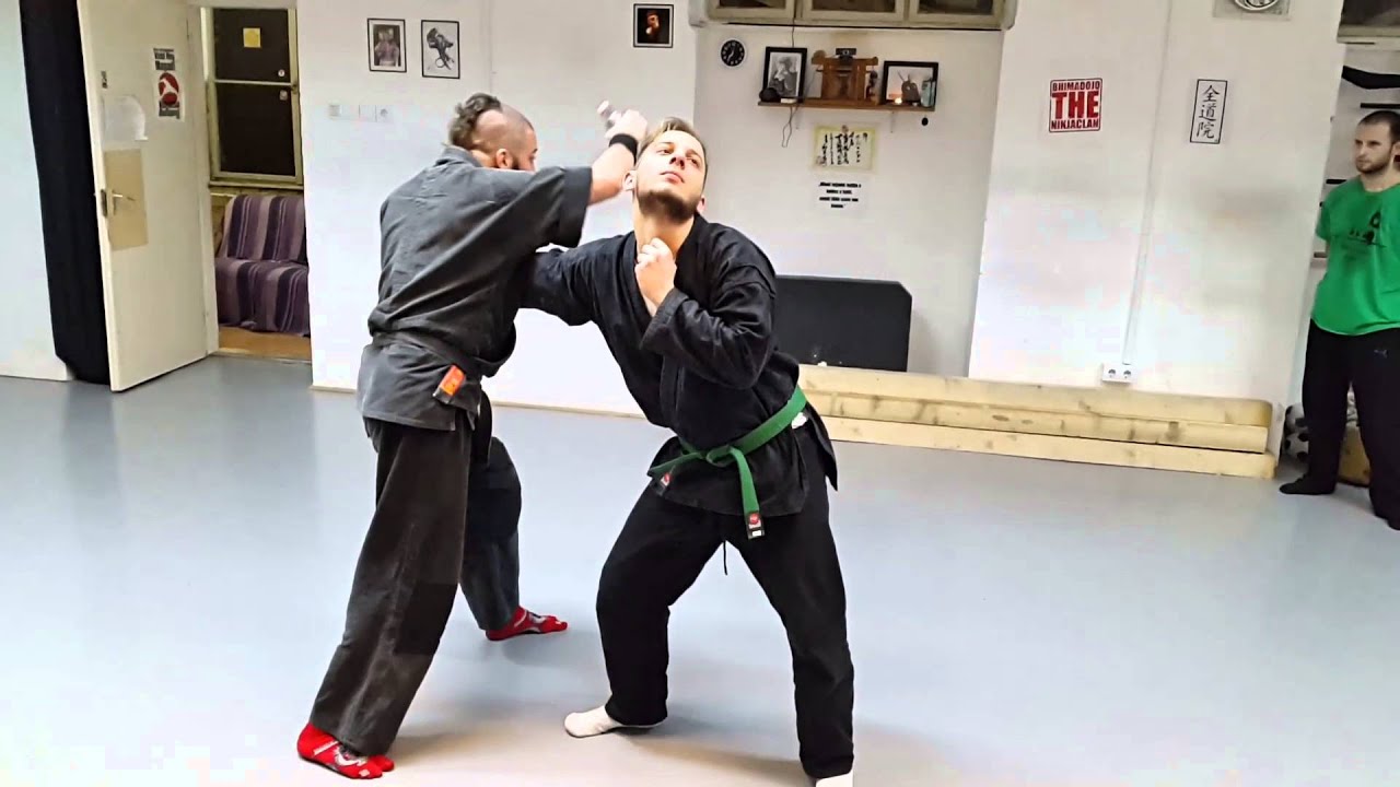 Önvédelem Pet Palackal. Ninjutsu Horváth Ádám