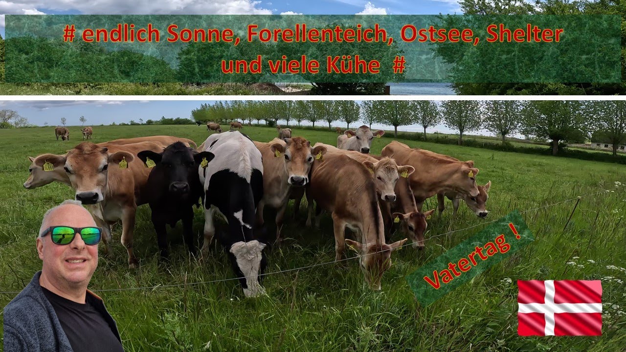 #3 Dänemark, Vatertag Marielyst Ostseeküste, Elkenøre Ulsev // Outdoor / Wandern / Outdoor - Strolch