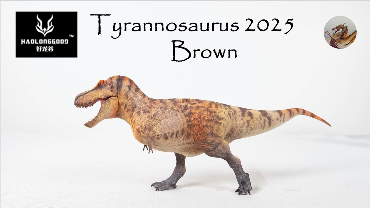 342: Haolonggood (好龙谷) Tyrannosaurus 2025 Part 2 Brown