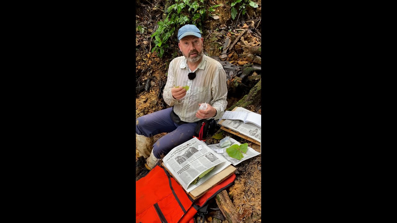 Making a Collection for DNA Extraction – Sarawak, Borneo – Part 3
