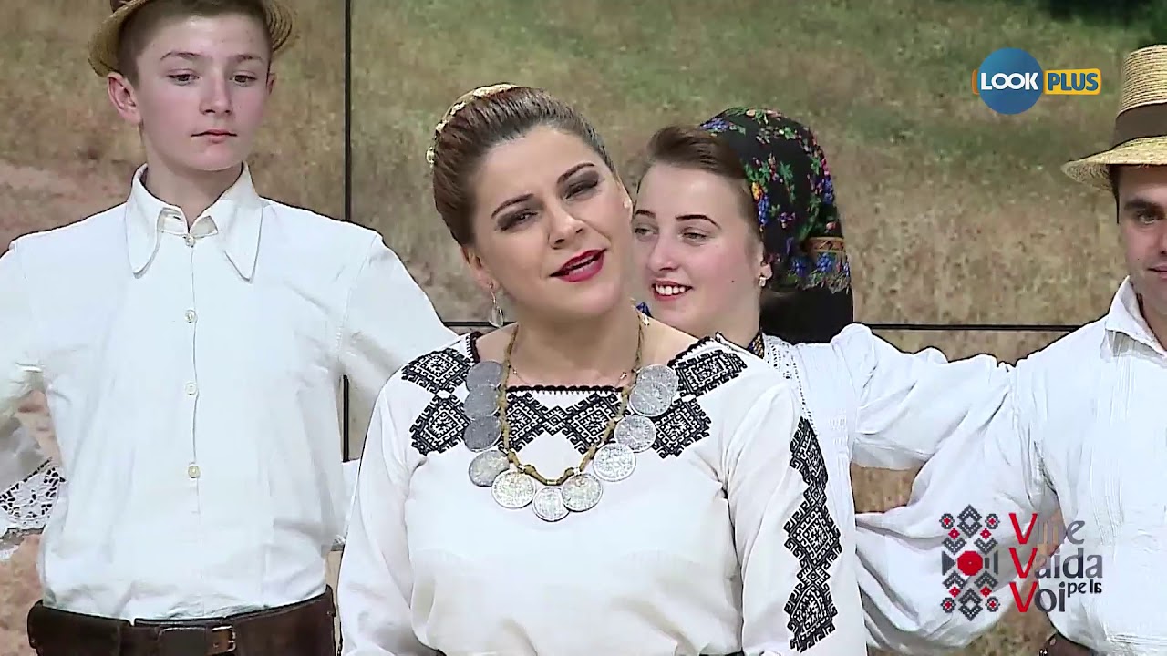 Felicia Stoian - Am plecat, mamă, în lume