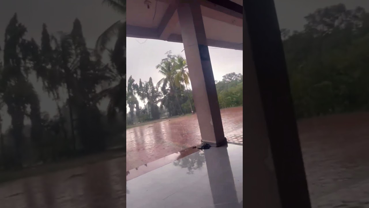 heavy rainfall at my hometown #nature #rain #rainsounds #water #monsoon #explore #reach #reaction #l