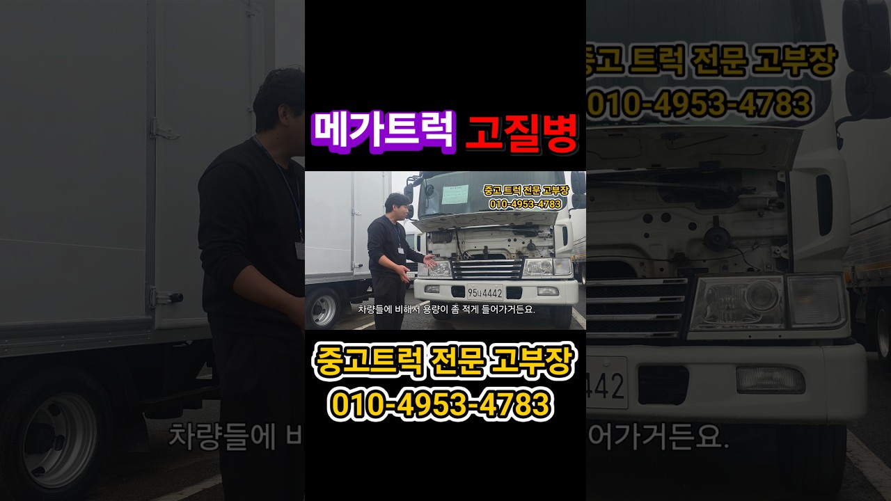 메가트럭 고질병 뭐가 있을까?