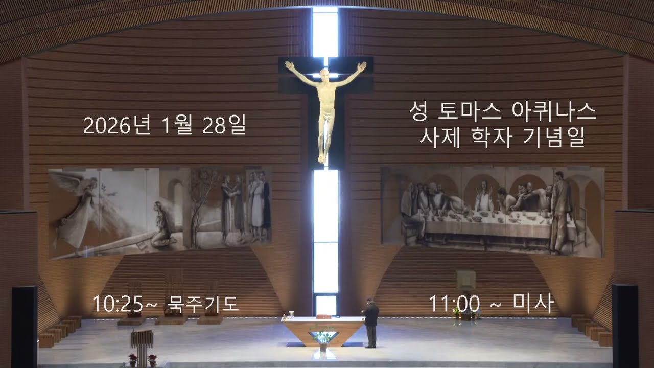 남양성모성지 / 2026년 1월 28일 / 성 토마스 아퀴나스 사제 학자 기념일 / 묵주기도 / 미사