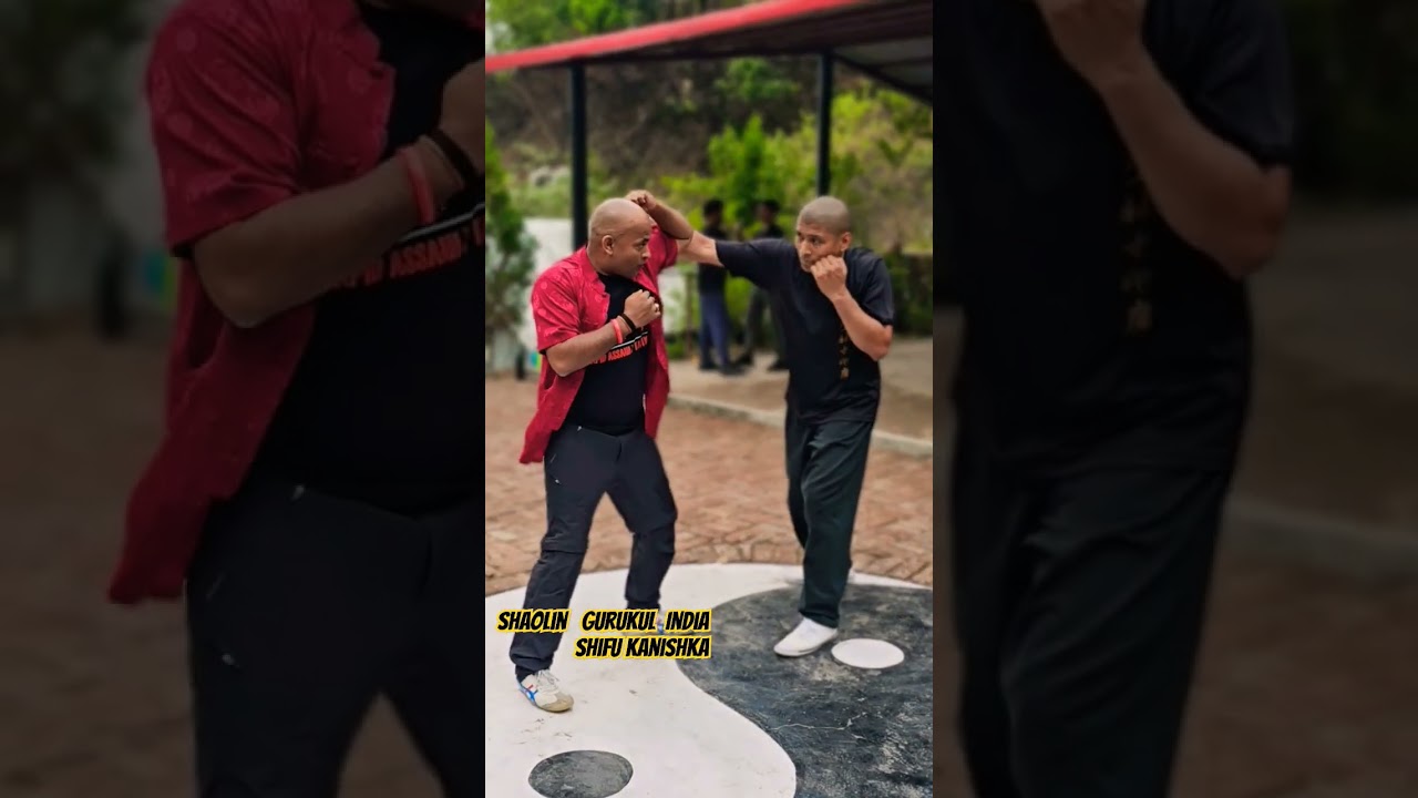 Shaolin Kungfu #shaolin #shaolingurukul #kungfu #shifu #martialarts #shifu #shaolintemple