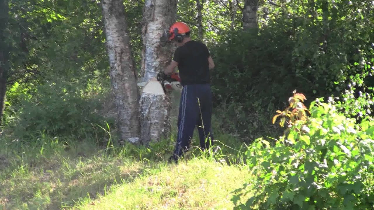 Stihl MS200