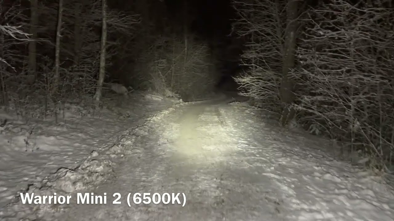 Olight Baton 3 Pro VS Warrior Mini 2