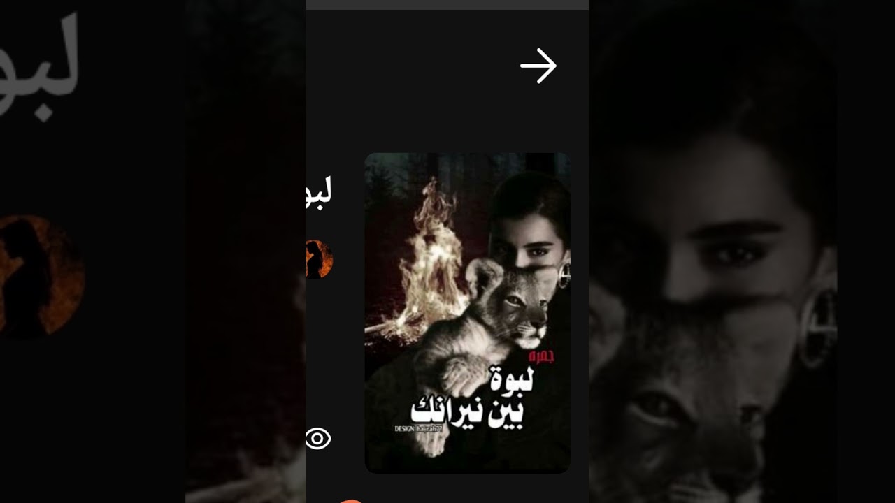 ١٣ فبراير ٢٠٢٦