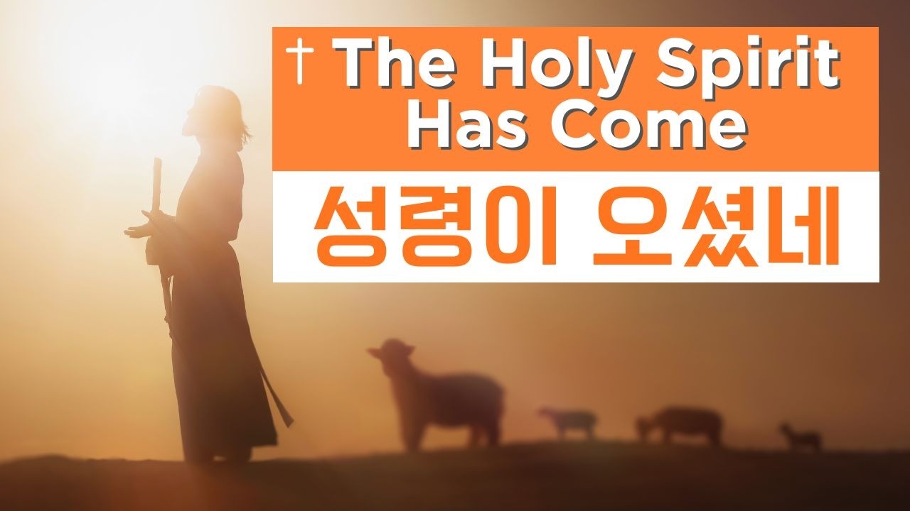 성령이 오셨네🎻 | The Holy Spirit Has Come | Viollee's Violin Worship