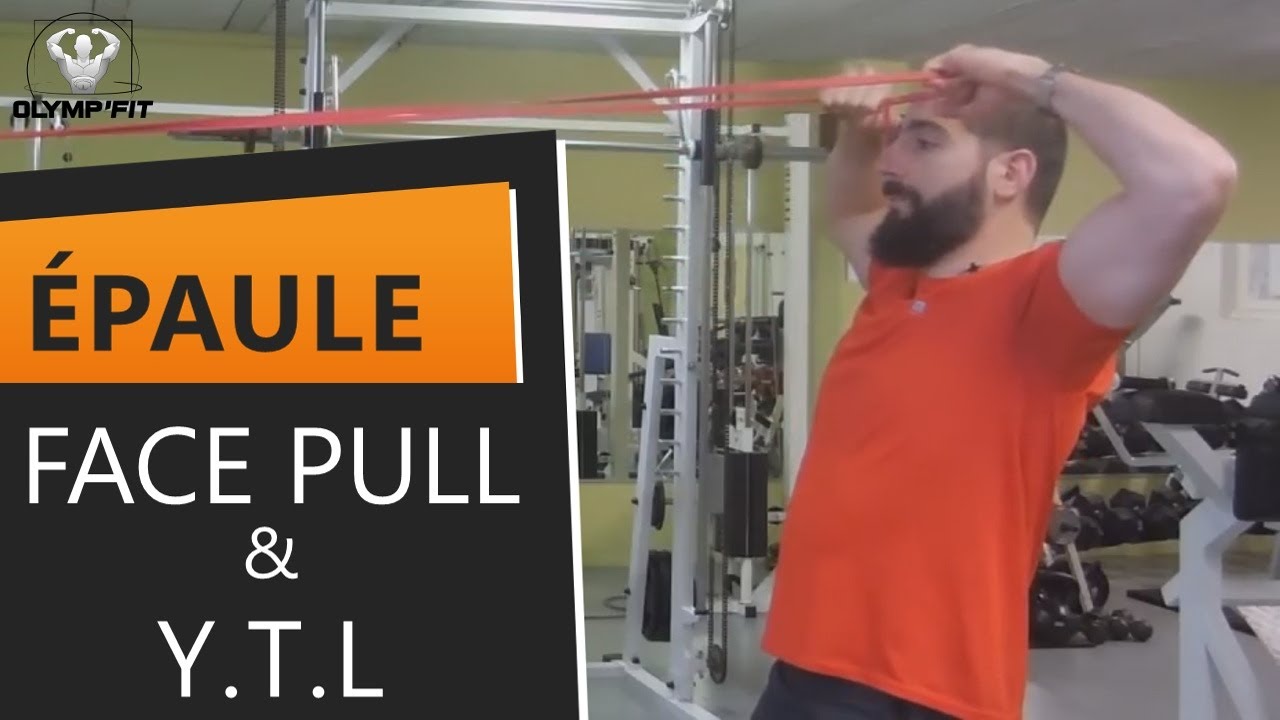 Stabilité Scapulaire : Face pull et Y.T.L deltoïde postérieur, trapèze inférieur, dentelé antérieur