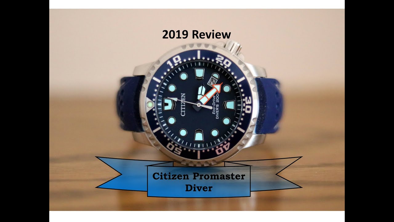 Best Value Eco-Drive from Citizen : The Promaster Diver