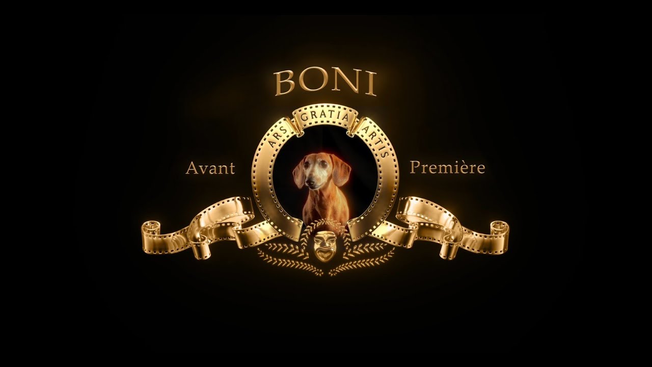 BONI - Avant Premi&egrave;re (&Aacute;lbum - Visualizer) @BONI_