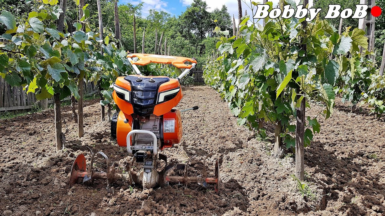 Lucrari la vie cu motosapa si pompa electrica